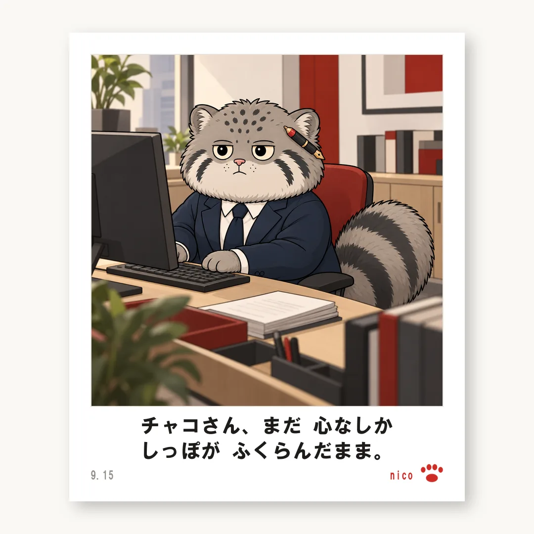 チェキ チャコ