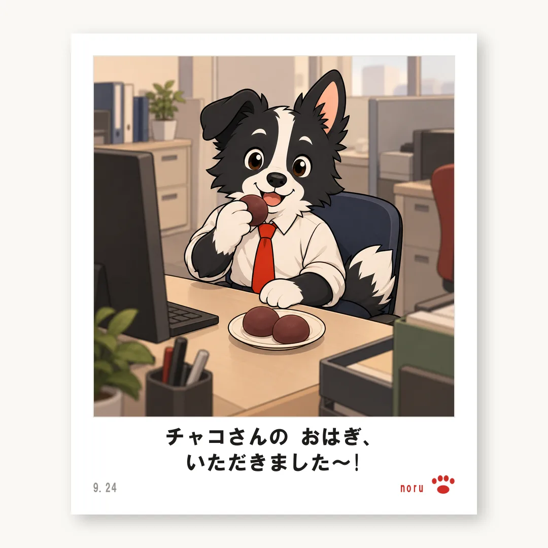 チェキ ノル