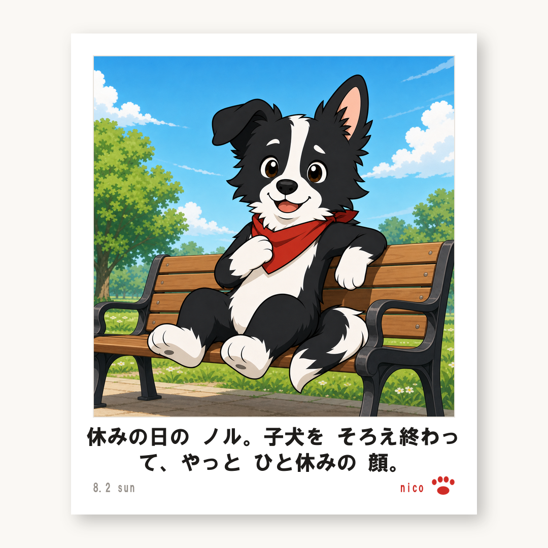 チェキ ノル